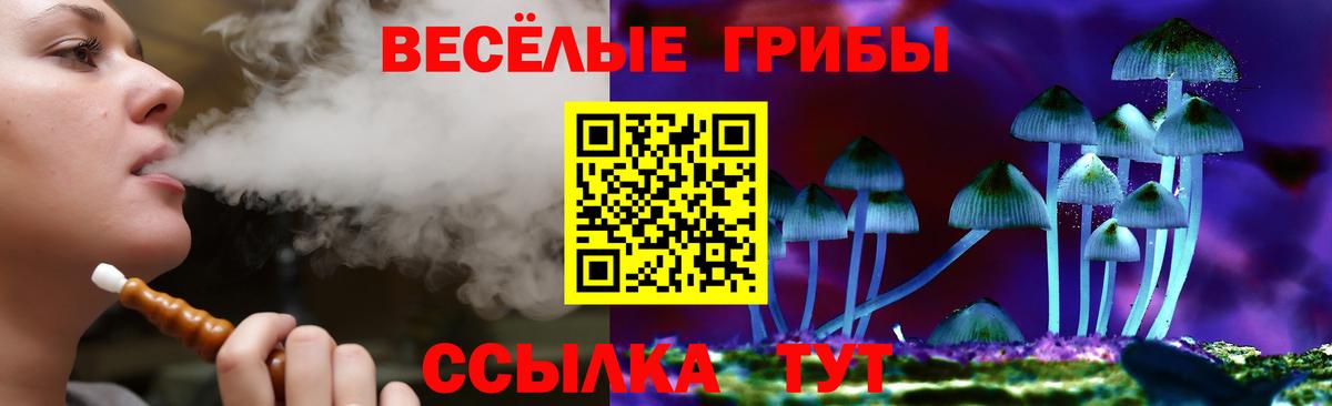 Отрадное  Галлюциногенные грибы Cubensis  Вход с VPN 