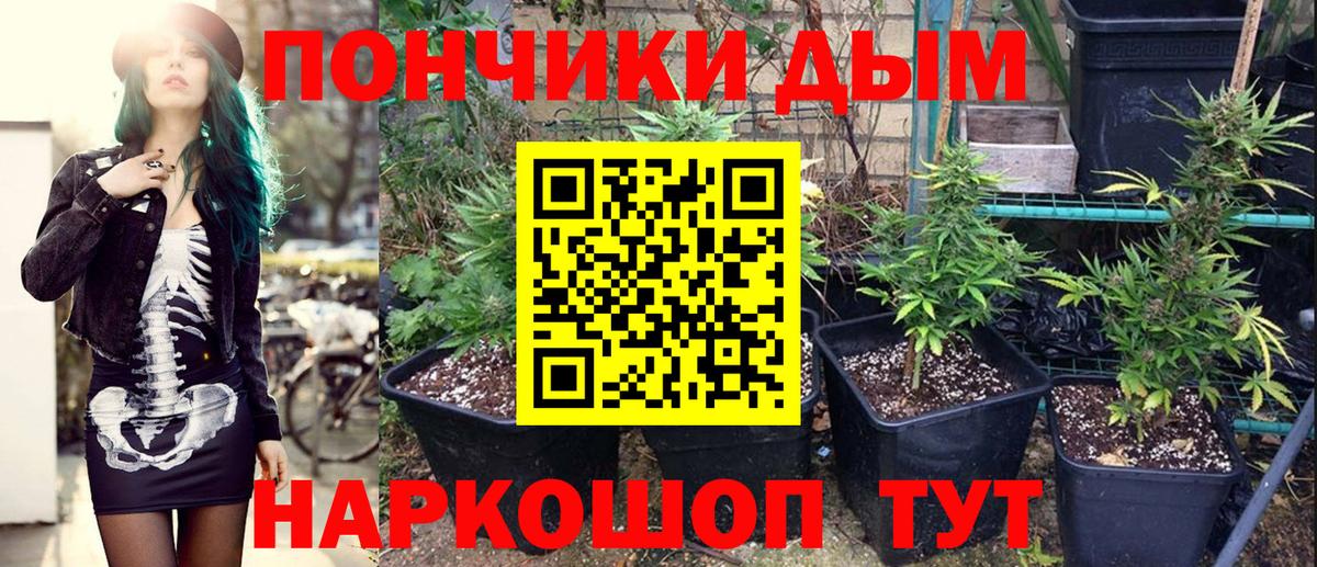 Канабис индика Отрадное